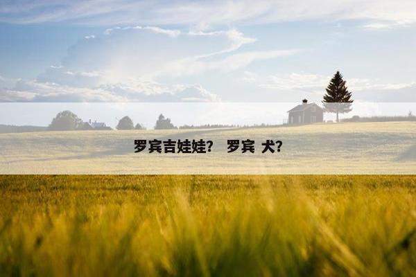 罗宾吉娃娃？ 罗宾 犬？