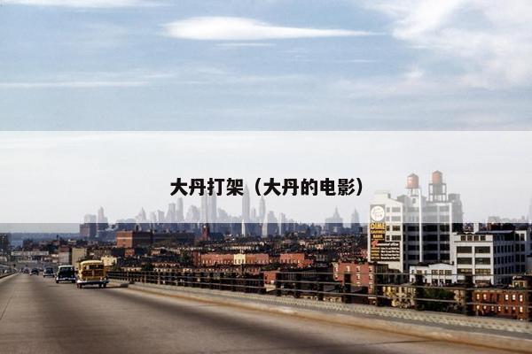 大丹打架（大丹的电影）