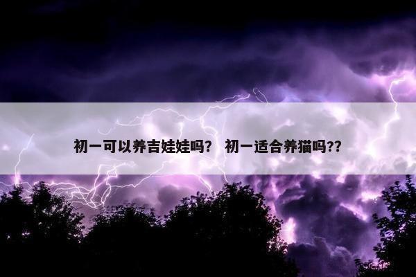 初一可以养吉娃娃吗？ 初一适合养猫吗?？