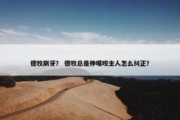 德牧刷牙？ 德牧总是伸嘴咬主人怎么纠正？