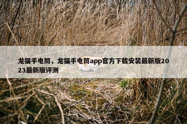龙猫手电筒，龙猫手电筒app官方下载安装最新版2023最新版评测