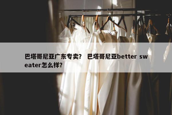 巴塔哥尼亚广东专卖？ 巴塔哥尼亚better sweater怎么样？
