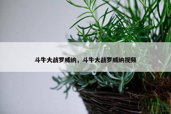 斗牛大战罗威纳，斗牛大战罗威纳视频