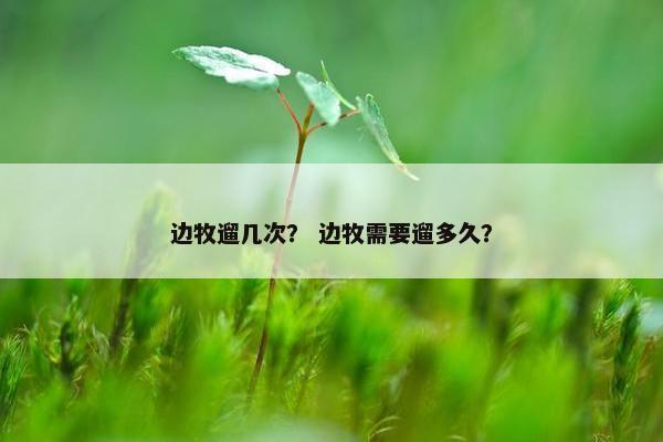 边牧遛几次？ 边牧需要遛多久？