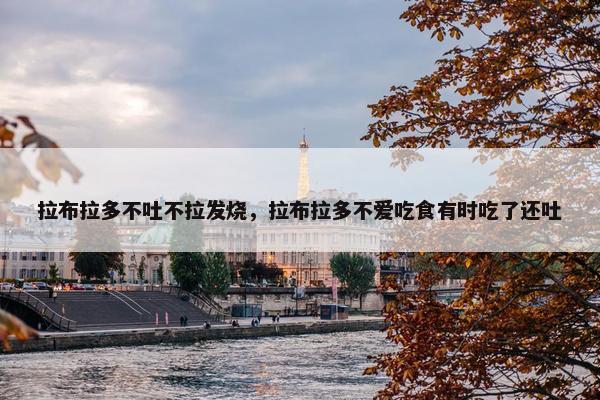 拉布拉多不吐不拉发烧，拉布拉多不爱吃食有时吃了还吐