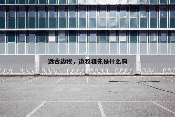 远古边牧，边牧祖先是什么狗