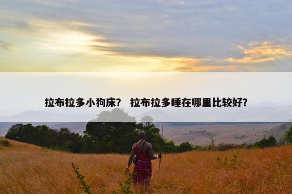 拉布拉多小狗床？ 拉布拉多睡在哪里比较好？