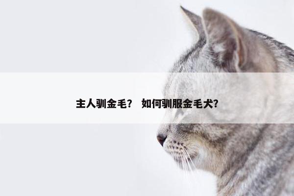 主人驯金毛？ 如何驯服金毛犬？
