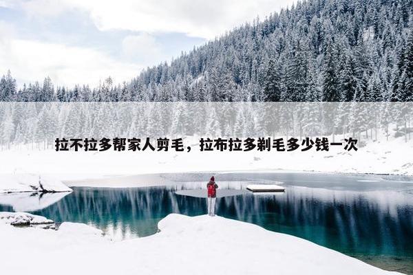 拉不拉多帮家人剪毛，拉布拉多剃毛多少钱一次