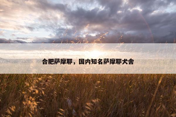 合肥萨摩耶，国内知名萨摩耶犬舍