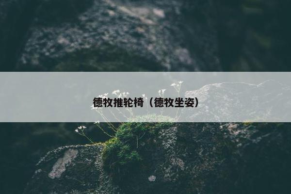 德牧推轮椅（德牧坐姿）