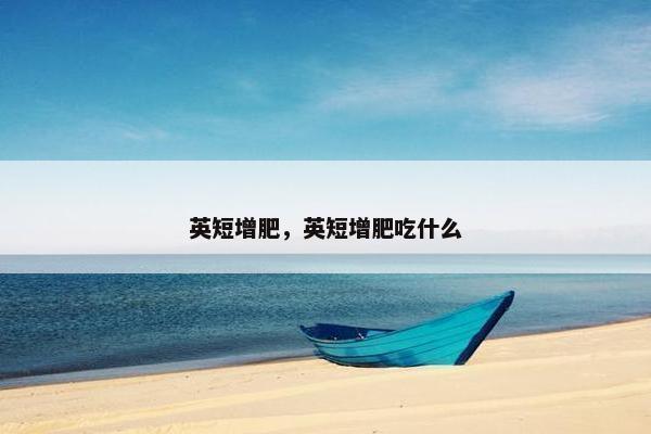 英短增肥，英短增肥吃什么