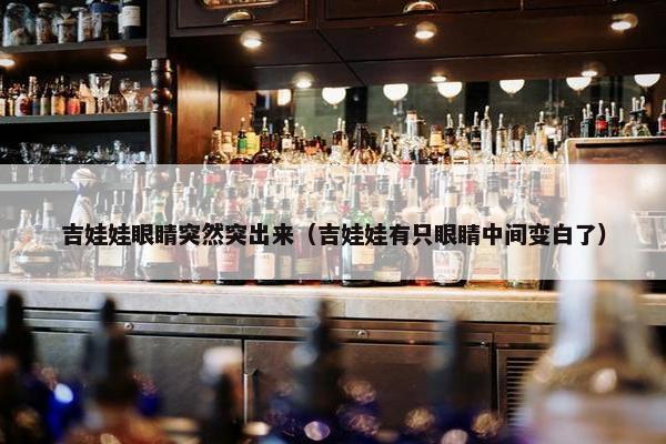 吉娃娃眼睛突然突出来（吉娃娃有只眼睛中间变白了）