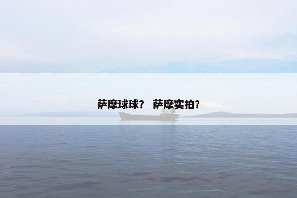 萨摩球球？ 萨摩实拍？