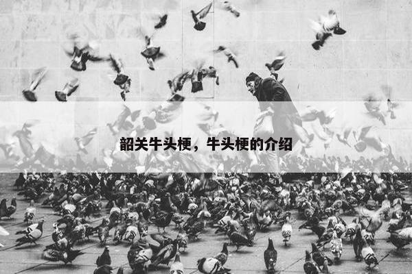 韶关牛头梗，牛头梗的介绍