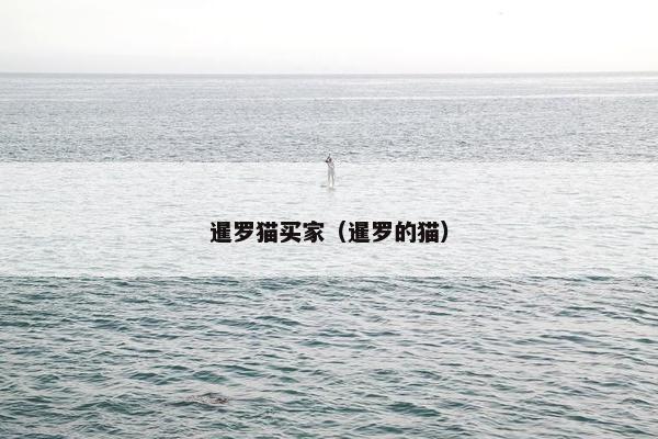 暹罗猫买家（暹罗的猫）