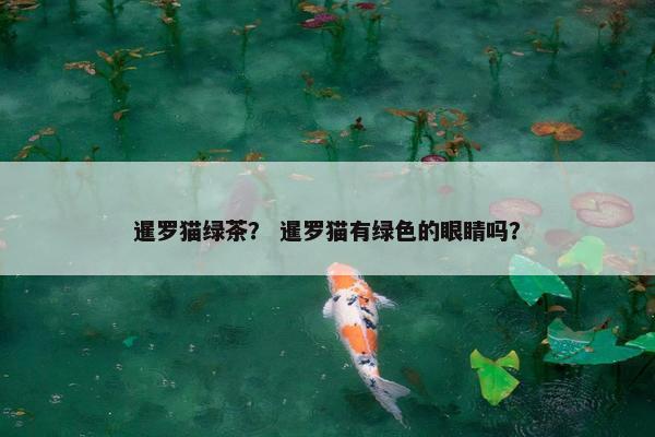 暹罗猫绿茶？ 暹罗猫有绿色的眼睛吗？