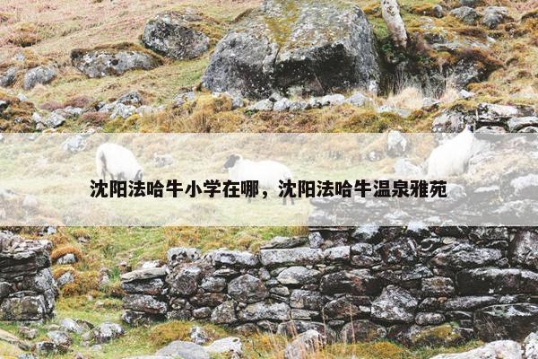 沈阳法哈牛小学在哪，沈阳法哈牛温泉雅苑