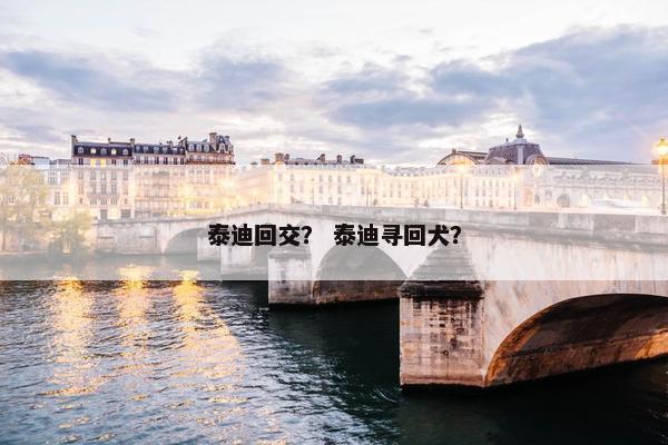 泰迪回交？ 泰迪寻回犬？