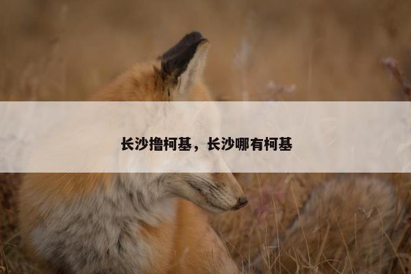 长沙撸柯基，长沙哪有柯基