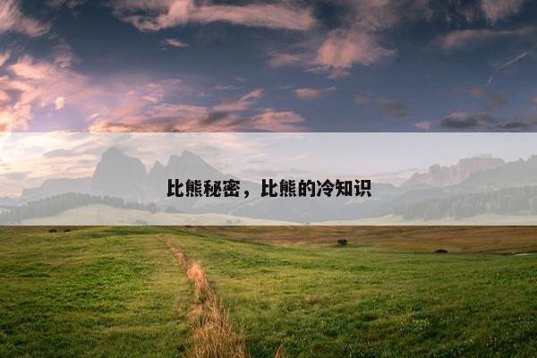 比熊秘密，比熊的冷知识