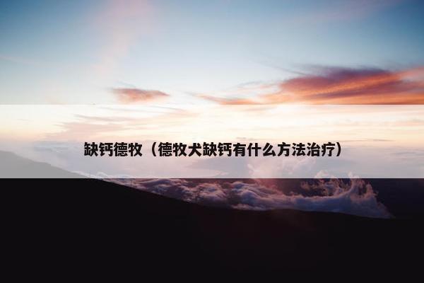 缺钙德牧（德牧犬缺钙有什么方法治疗）