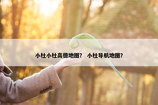 小杜小杜高德地图？ 小杜导航地图？