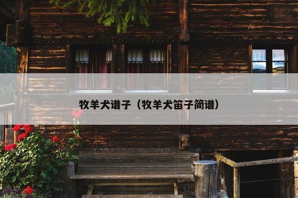 牧羊犬谱子（牧羊犬笛子简谱）