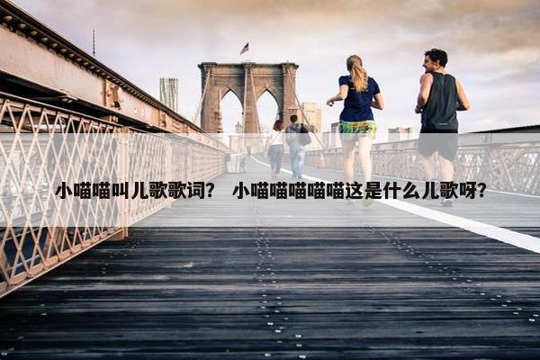 小喵喵叫儿歌歌词？ 小喵喵喵喵喵这是什么儿歌呀？