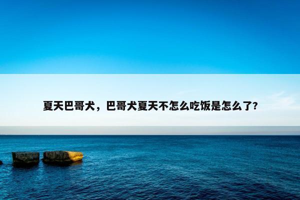夏天巴哥犬，巴哥犬夏天不怎么吃饭是怎么了?