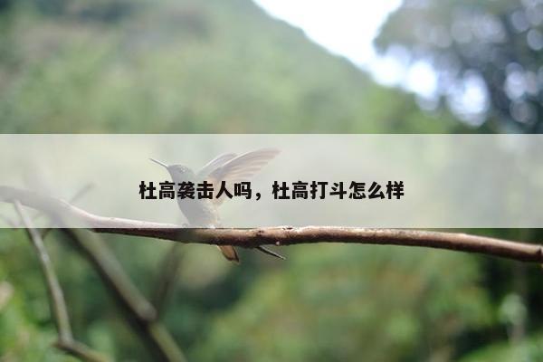 杜高袭击人吗，杜高打斗怎么样