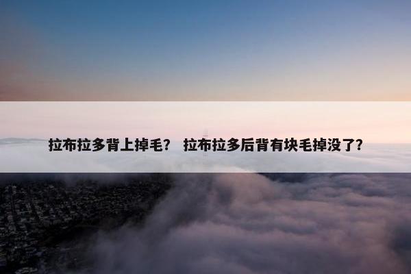 拉布拉多背上掉毛？ 拉布拉多后背有块毛掉没了？