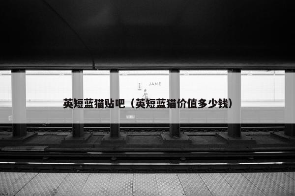 英短蓝猫贴吧（英短蓝猫价值多少钱）