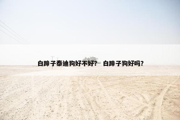 白蹄子泰迪狗好不好？ 白蹄子狗好吗？