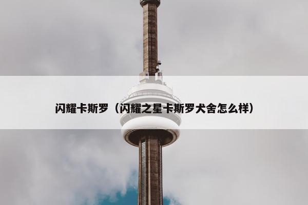闪耀卡斯罗（闪耀之星卡斯罗犬舍怎么样）