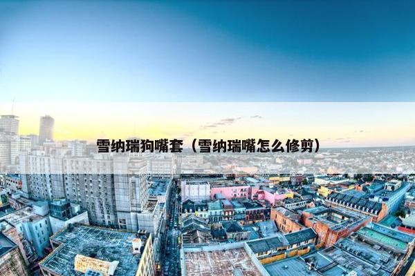 雪纳瑞狗嘴套（雪纳瑞嘴怎么修剪）