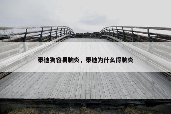 泰迪狗容易脑炎，泰迪为什么得脑炎