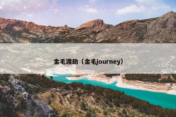 金毛渡劫（金毛journey）