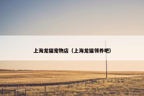 上海龙猫宠物店（上海龙猫领养吧）