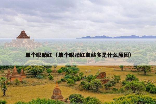 单个眼睛红（单个眼睛红血丝多是什么原因）