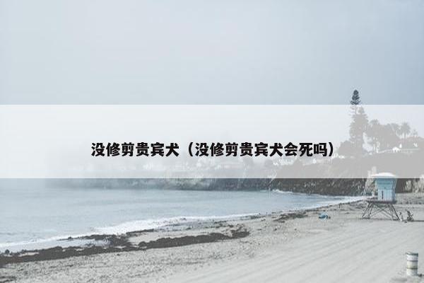 没修剪贵宾犬（没修剪贵宾犬会死吗）