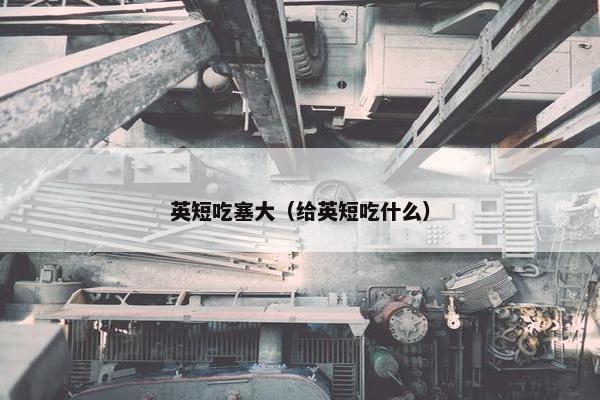 英短吃塞大（给英短吃什么）