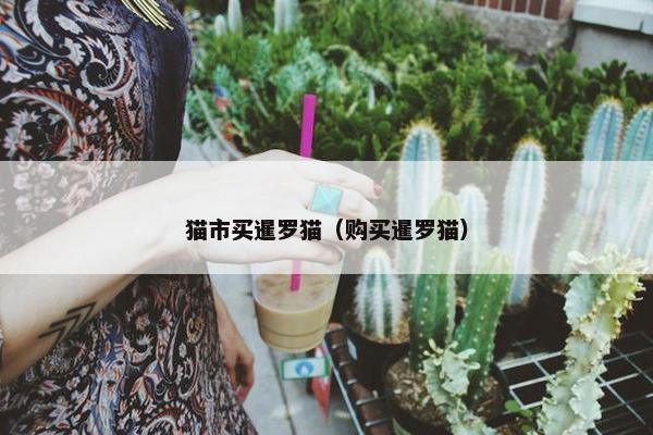 猫市买暹罗猫（购买暹罗猫）