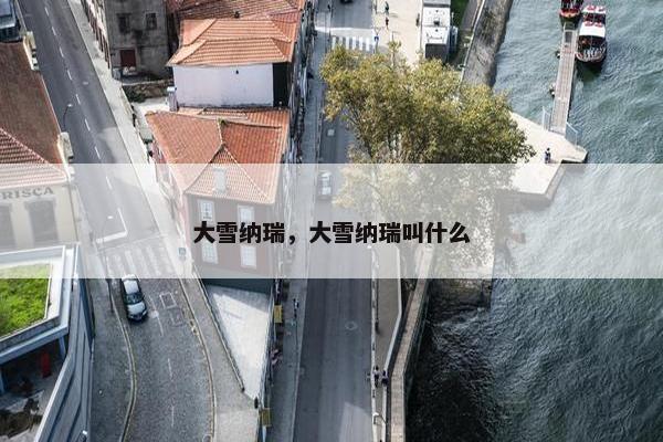 大雪纳瑞，大雪纳瑞叫什么