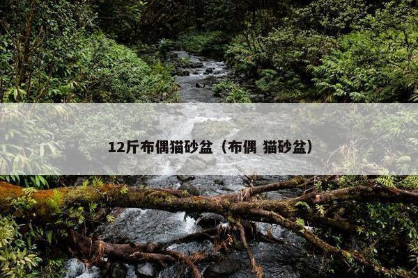 12斤布偶猫砂盆（布偶 猫砂盆）