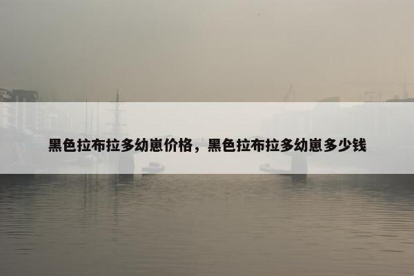 黑色拉布拉多幼崽价格，黑色拉布拉多幼崽多少钱