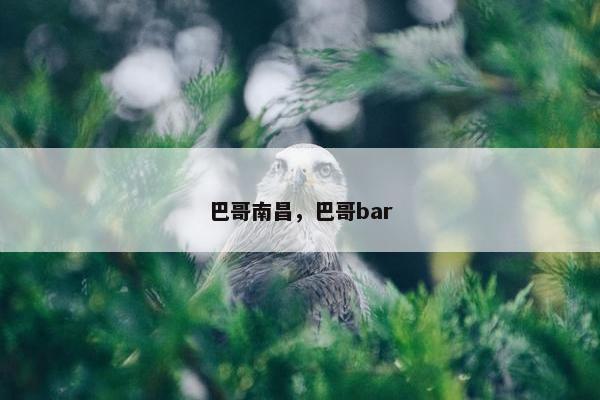 巴哥南昌，巴哥bar