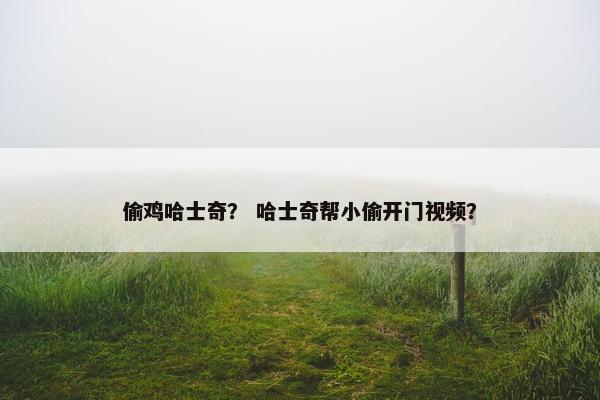 偷鸡哈士奇? 哈士奇帮小偷开门视频? 偷鸡哈士奇? 哈士奇帮小偷开门视频?
