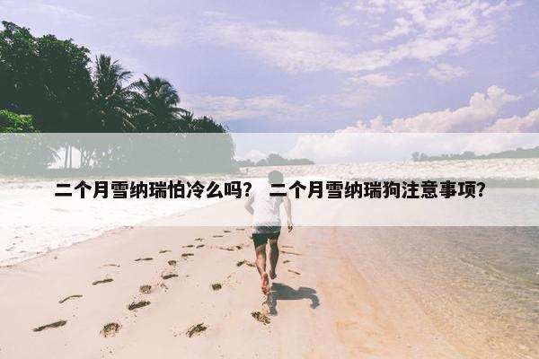 二个月雪纳瑞怕冷么吗？ 二个月雪纳瑞狗注意事项？