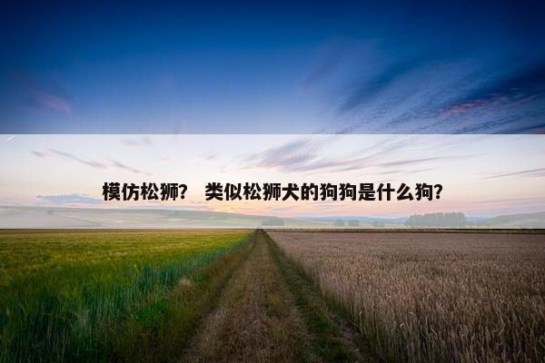 模仿松狮？ 类似松狮犬的狗狗是什么狗？